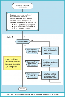 Рис. 186 Работа сердца..png
